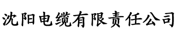 理论片观看在线播放电缆厂logo